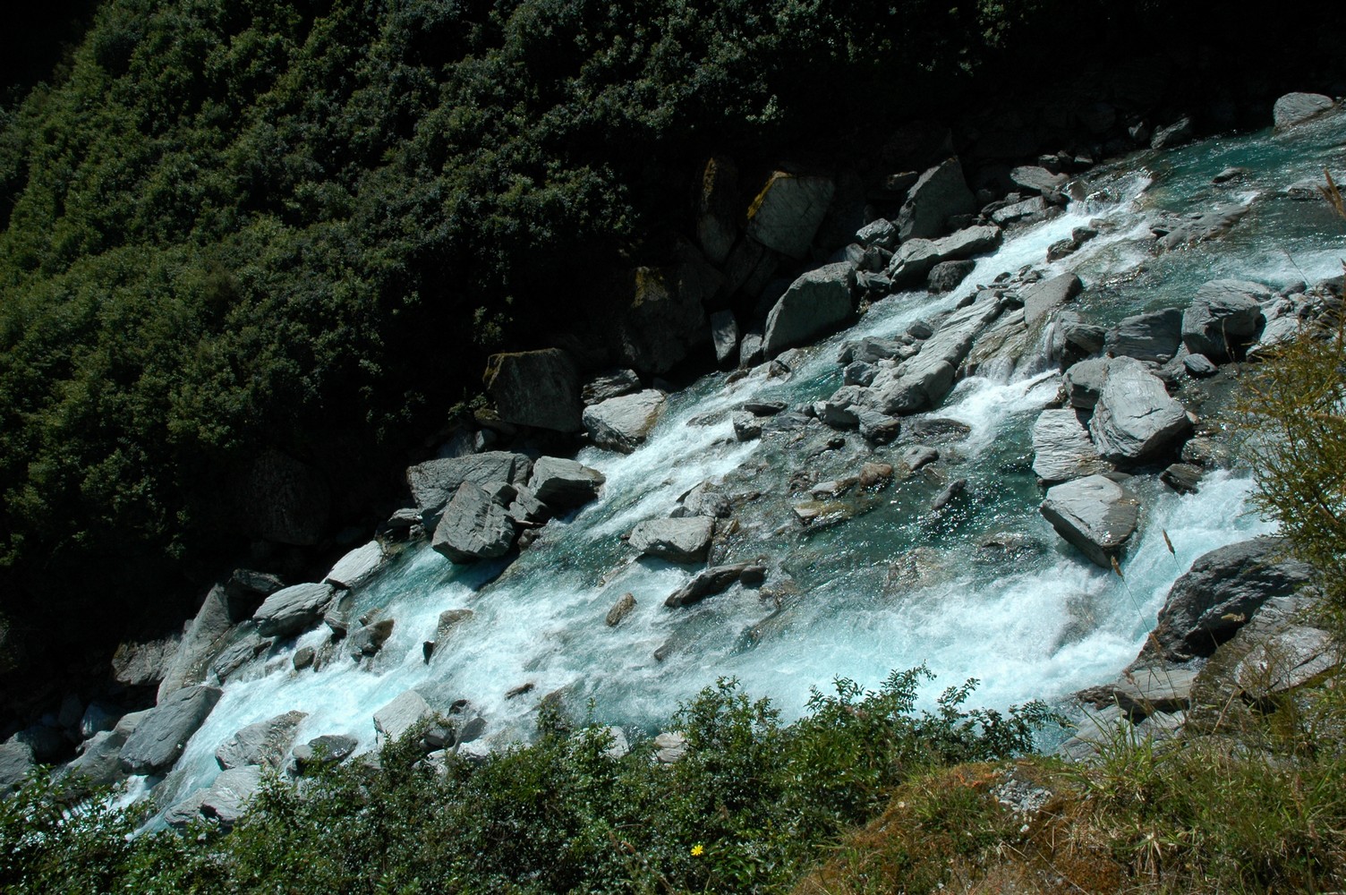 136   25 01   Fox Glacier   Oamura